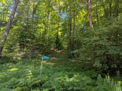 Vacant Land in Killaloe, Hagarty and Richards