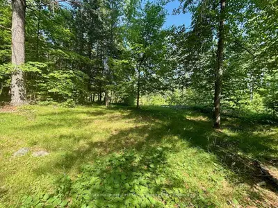 2495 Flinton Road, Addington Highlands, On K0h 1p0