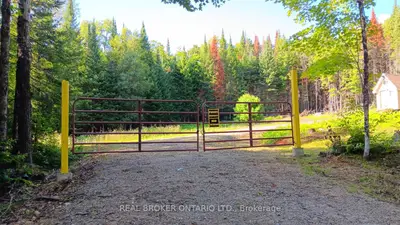 1555 Minnicock Lake Road, Dysart Et Al, On K0m 1s0