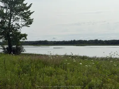 252-268 O'reilly Lane, Kawartha Lakes, On K0m 2t0
