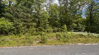 0 Glamor Lake Road, Highlands East, On K0m 1r0