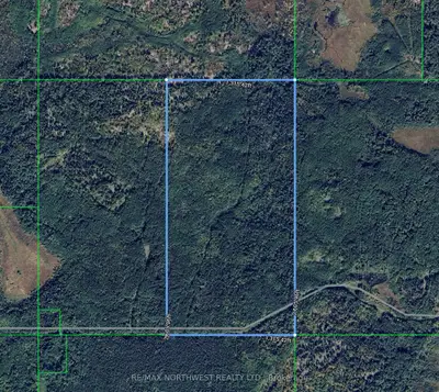 402 Andrews Rd, Morley, On P0w 1n0
