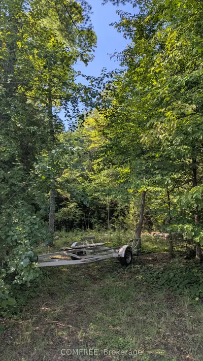 4859 Opeongo Road, Constance Bay - Dunrobin - Kilmaurs - Woodlawn, On K0a 3m0