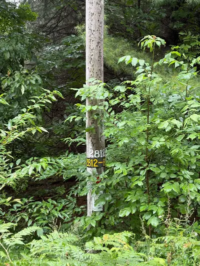 968 North Mary Lake Road, Huntsville, On P1h 1s4