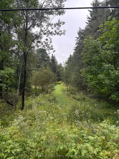 964 North Mary Lake Road, Huntsville, On P1h 1s4