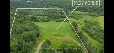 Vacant Land in Bonfield