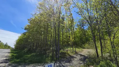 County Road 30, Trent Hills, On, K0l 1l0