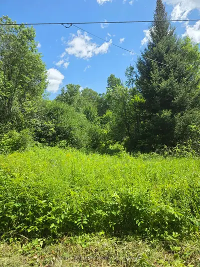Pt Lt 27 Con 2 Grand Desert Road, Bonfield, On P0h 2e0
