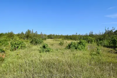 Lot 16 Westplain Road, Greater Napanee, On K0k 2w0