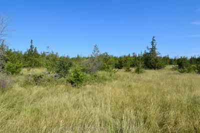 Lot 16 Westplain Road, Greater Napanee, On K0k 2w0