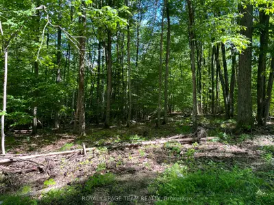 00 Siberia Road, Madawaska Valley, On K0j 1b0