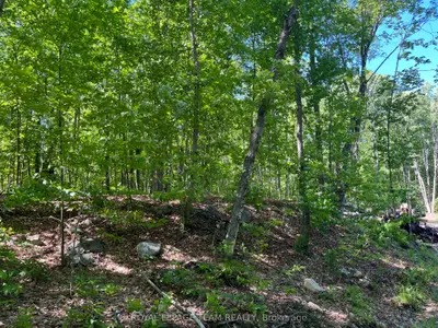 01 Siberia Road, Madawaska Valley, On K0j 1b0