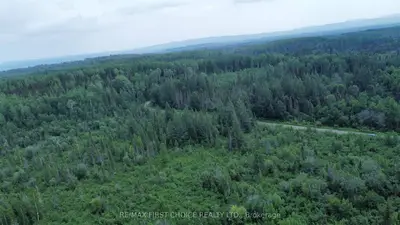 0 Thomas Road, Thunder Bay Remote Area, On P0t 2k0
