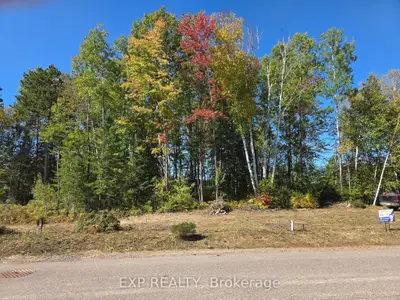 Lot 14 Birchview Drive, Madawaska Valley, On K0j 1b0