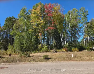 Lot 14 Birchview Drive, Madawaska Valley, On K0j 1b0