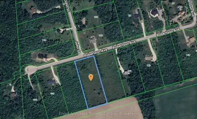 121 Robertson Avenue, Meaford, On N4l 1w7
