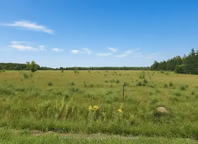 Bergland Cemetery Rd, Lake Of The Woods, On P0w 1m0