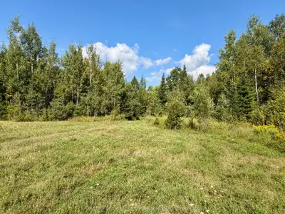 Lot 13 Hwy 522 Highway W, Parry Sound Remote Area, On P0h 1s0