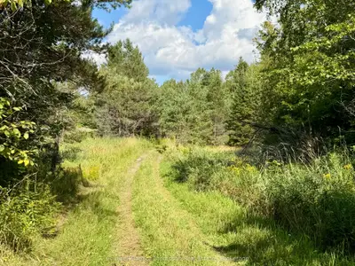 Lot 13 Hwy 522 Highway W, Parry Sound Remote Area, On P0h 1s0