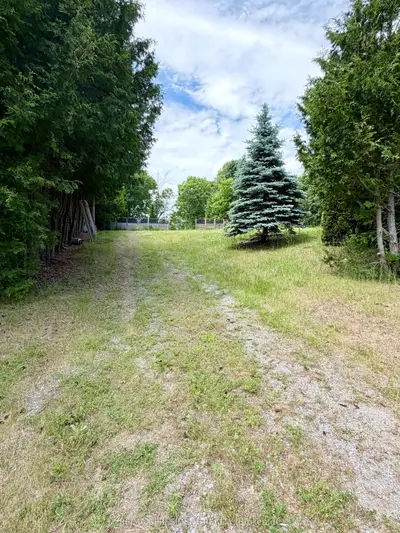 126 Mill Street, Cramahe, On K0k 1m0