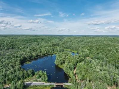 1241 Koshlong Lake Road, Dysart Et Al, On K0m 1s0