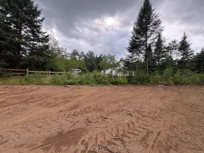 0 The Avenue, Kawartha Lakes, On K0m 2a0
