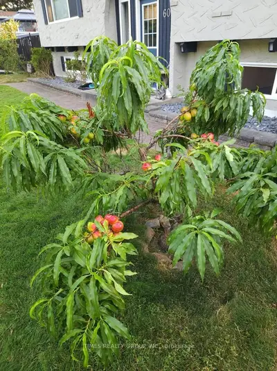606 Gillis Avenue, Out Of Area, Bc V0e 2v0