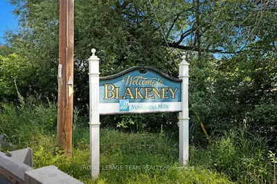 254 Blakeney Road, Mississippi Mills, On K0a 1a0