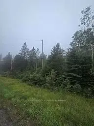 5937 Highway 11/17, Thunder Bay Remote Area, On P0t 1w0