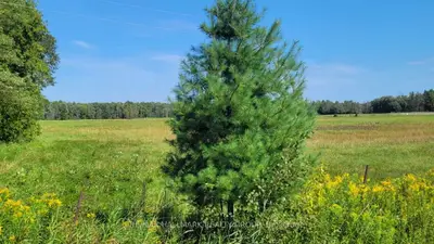 0000 Skakum Road, Augusta, On K0e 1t0