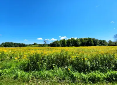 0 Jellyby Road, Elizabethtown-kitley, On K0g 1r0
