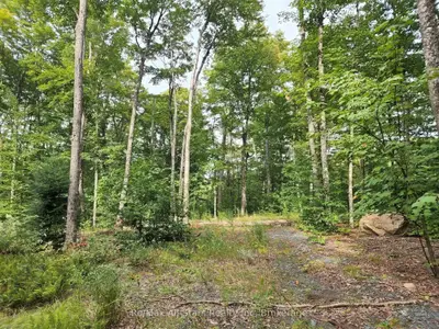 3480 Brunel Road, Lake Of Bays, On P1h 2j3