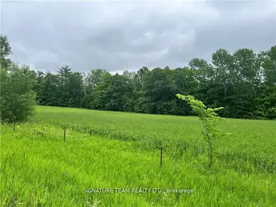 0 Grant Settlement Road, Whitewater Region, On K0j 1v0