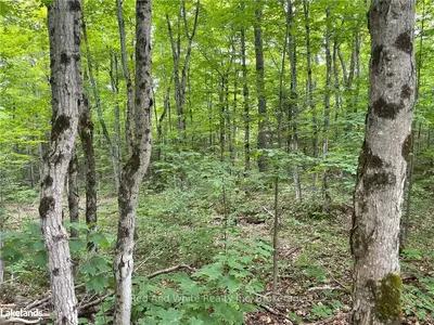 23 Ahmic Lake Road, Magnetawan, On P0a 1a0