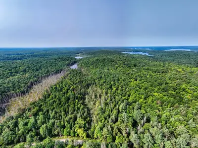 1045 C Browns Brae Road, Lake Of Bays, On P0b 1a0