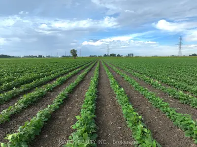 0 White Road, Chatham-kent, On N8a 4l3