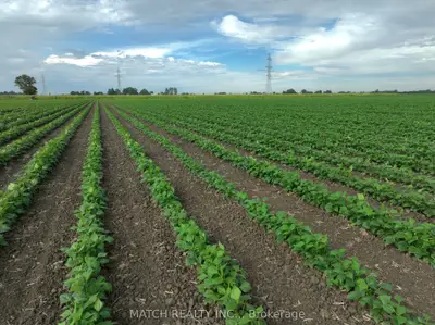 0 White Road, Chatham-kent, On N8a 4l3