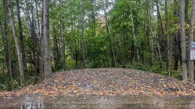 Lot 1 Tally-ho Winter Park Road, Lake Of Bays, On P1h 2e8