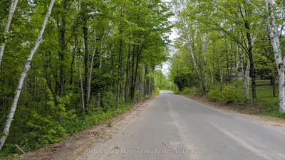 Lot 1 Tally-ho Winter Park Road, Lake Of Bays, On P1h 2e8