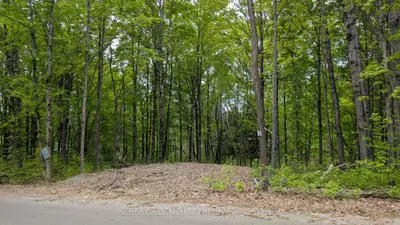 Lot 2 Tally-ho Winter Park Road, Lake Of Bays, On P1h 2e5
