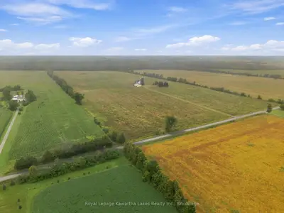 583 Hillhead Road, Kawartha Lakes, On K0l 2x0