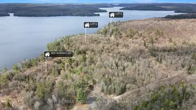 Lot 4 Gonnsen Trail, Dysart Et Al, On K0m 1s0
