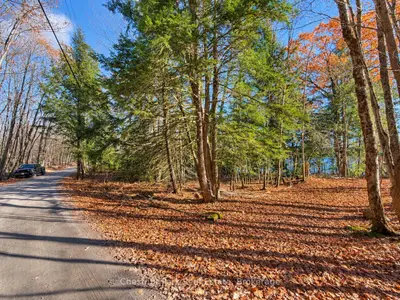 26 Blair Point Road, Seguin, On P0c 1j0