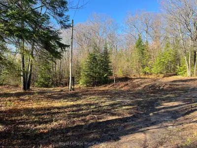 120 Norlock Road, Madawaska Valley, On K0j 1b0
