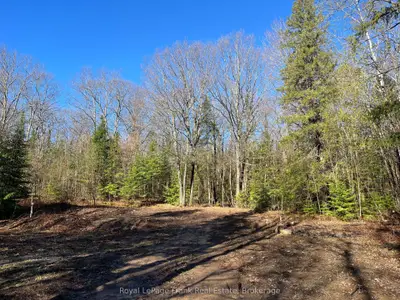 120 Norlock Road, Madawaska Valley, On K0j 1b0