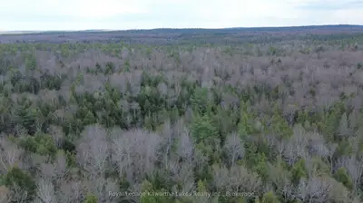 0 Crystal Lake Road, Trent Lakes, On K0m 2a0