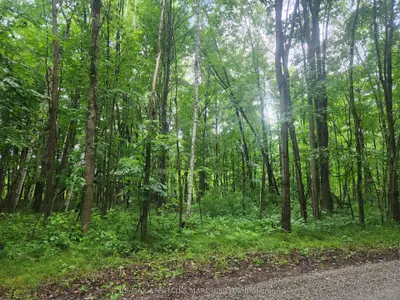 000 Cedar Sands Road Way, Rideau Lakes, On K0e 1n0