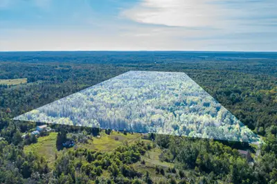 244 Dutch Line Road W, Trent Lakes, On K0m 2a0