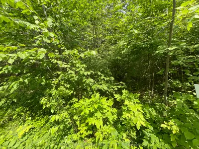 0 Sugarbush Crescent, Trent Lakes, On K0l 1j0