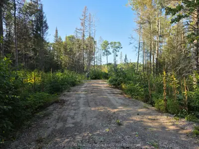 356 Hunt Line, Powassan, On P0h 1z0
